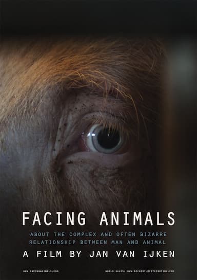 Facing Animals
