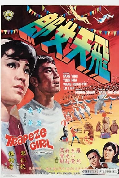 Fei tian nu lang