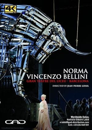 Norma de Vincenzo Bellini au Gran Teatre del Liceu