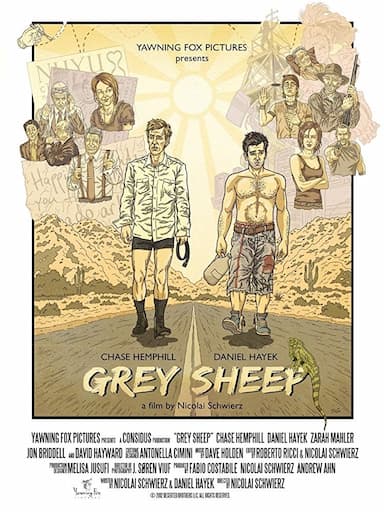 Grey Sheep