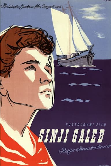 Sinji galeb