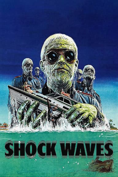 Shock Waves