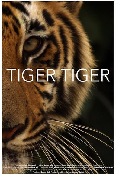 Tiger Tiger