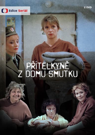 Prítelkyne z domu smutku