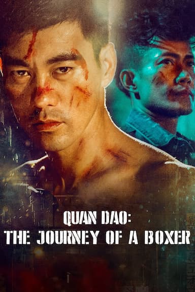 The Journey of a Boxer