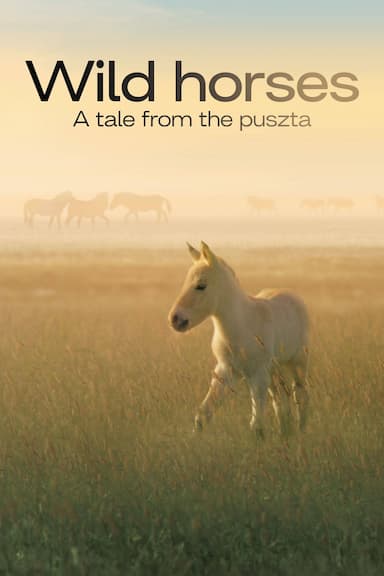 Wild Horses: A Tale from the Puszta