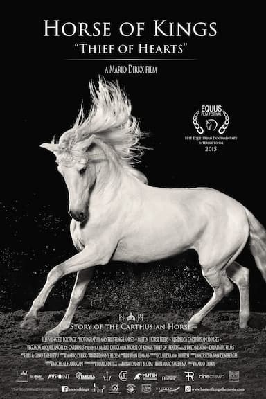 Horse of Kings, Thief of Hearts