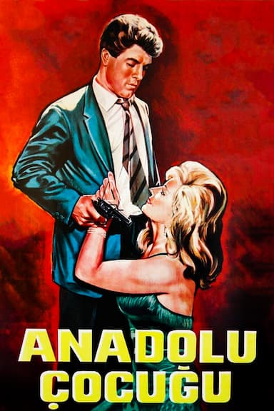 The Anatolian Guy