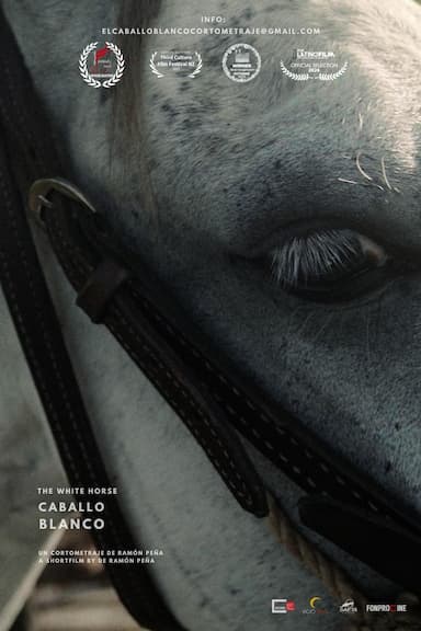 Caballo blanco