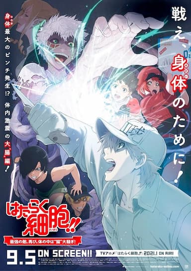 Hataraku Saibo!! Saikyo no Teki, Futatabi. Karada no Naka wa Cho Osawagi!
