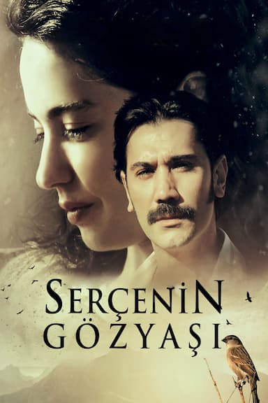 Serçenin Gözyasi