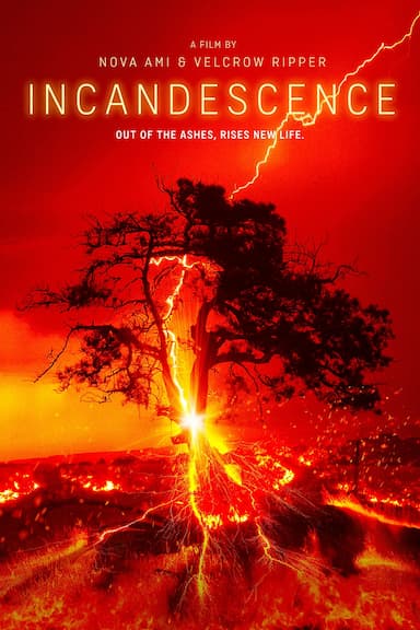 Incandescence