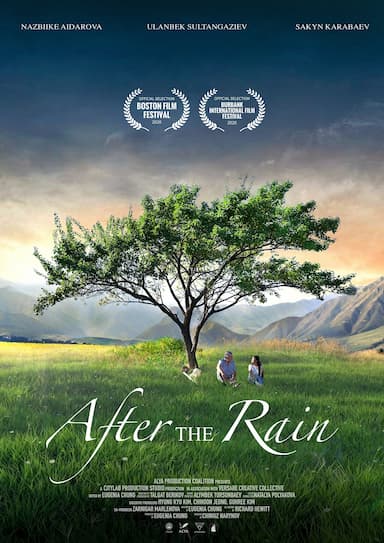 Jamgyrdan Kiin (After the Rain)