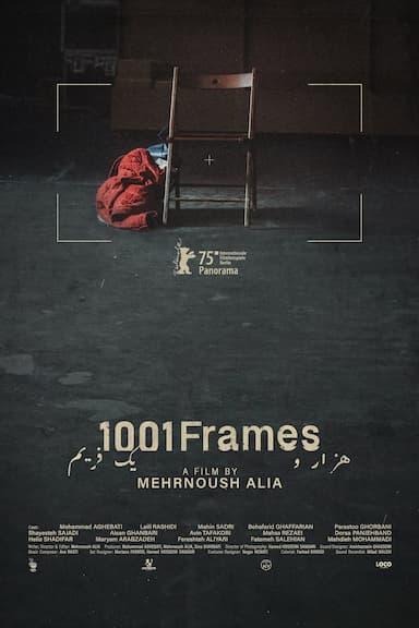 1001 Frames