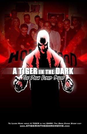A Tiger in the Dark: Revisited