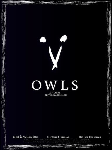 Owls