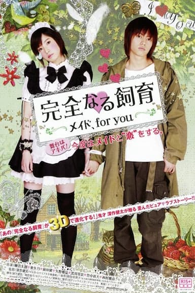 Perfect Education: Maid, for You