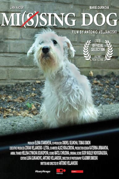 Mi(s)sing dog