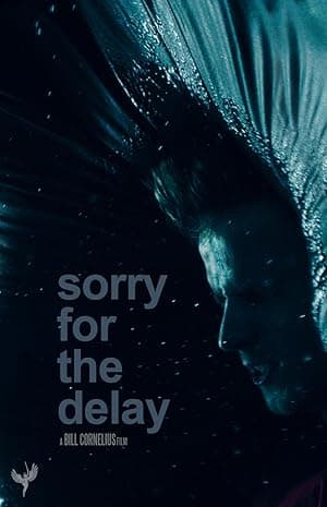 Sorry for the Delay
