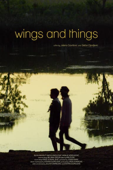 Wings and Things