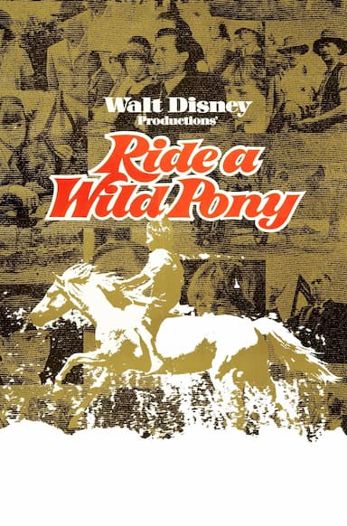 Ride a Wild Pony