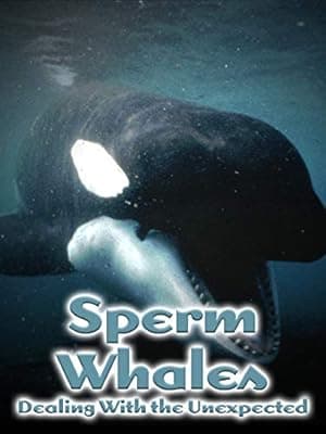 Sperm Whales, Dealing with the Unexpected
