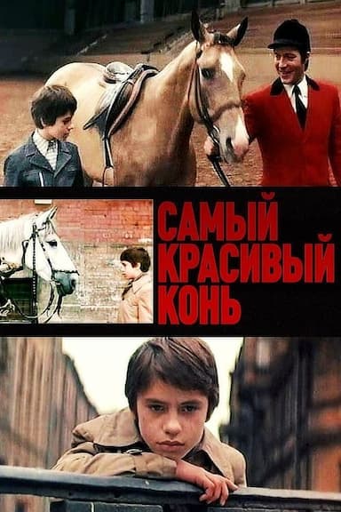 Samyy krasivyy kon