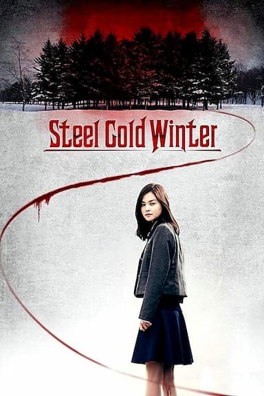 Steel Cold Winter