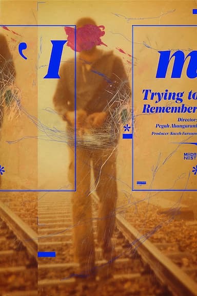 I Am Trying to Remember