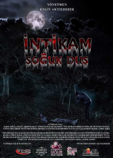 Intikam Soguk Dus