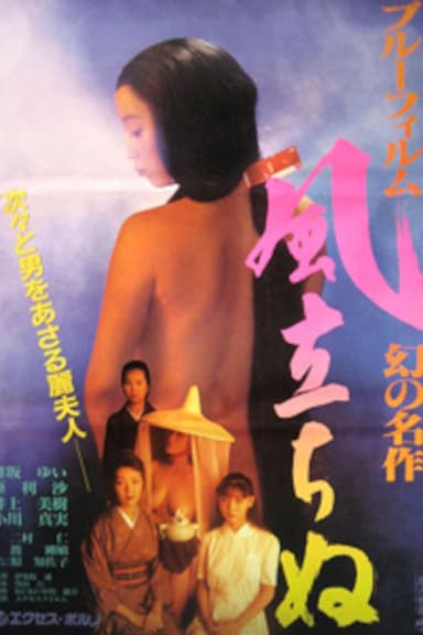 Blue film maboroshi no meisaku: Kazetachinu