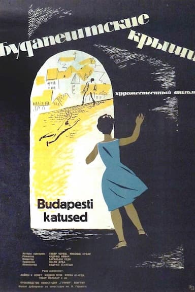 Pesti háztetök