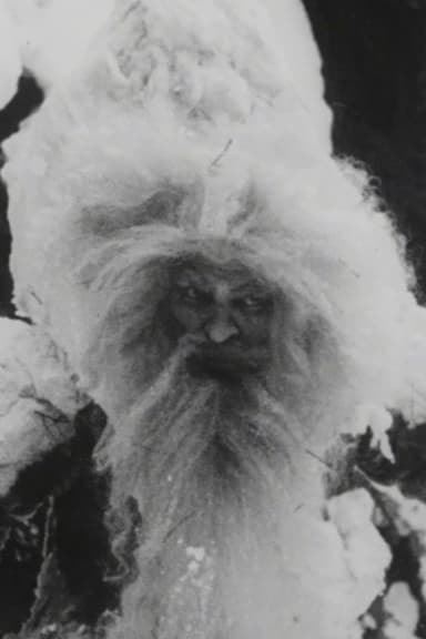 Father Frost