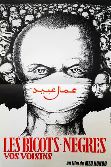 Arabs and Niggers, Your Neighbours