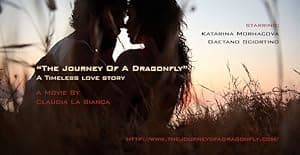 The Journey of a Dragonfly