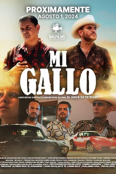 Mi gallo