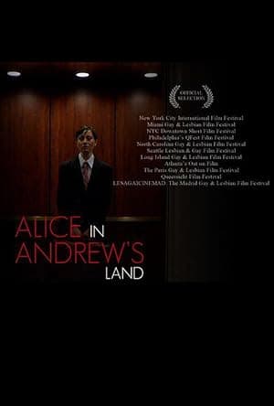 Alice in Andrew's Land