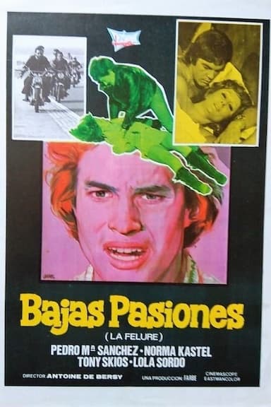 Bajas pasiones (La felure)