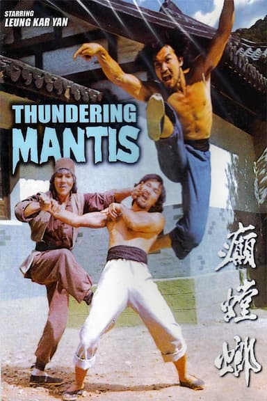 Mantis Fist Fighter