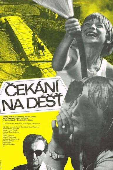 Cekání na dést