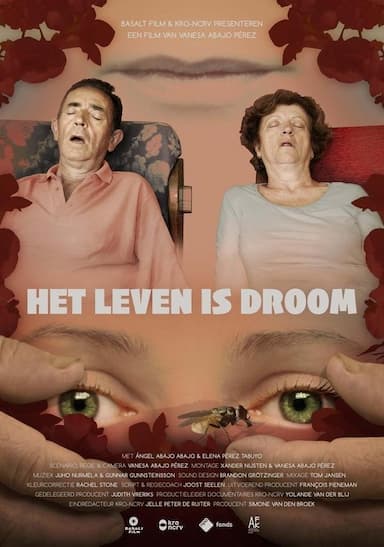 Het Leven Is Droom