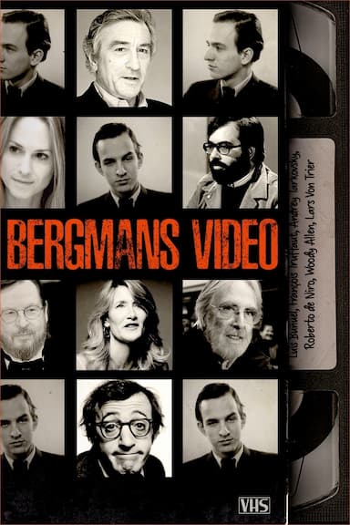 Bergmans video