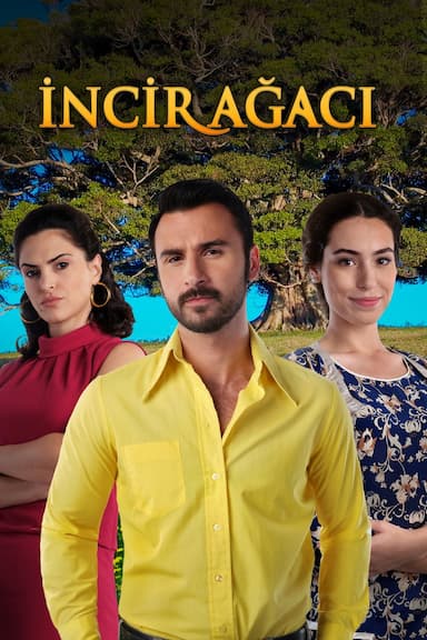 Incir Agaci