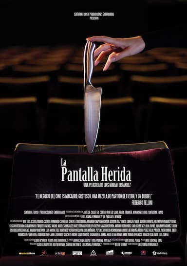 La pantalla herida