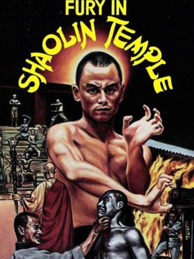 Fury in the Shaolin Temple