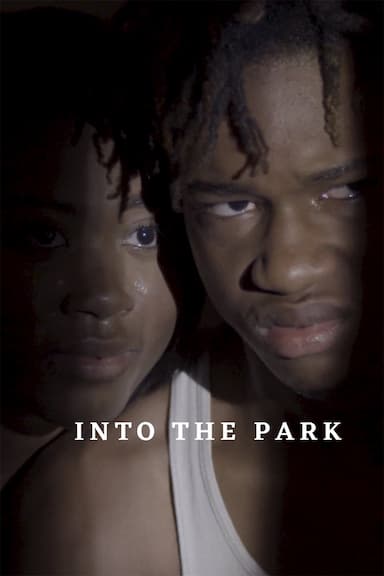 Into the Park