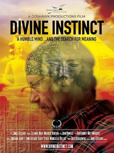 Divine Instinct