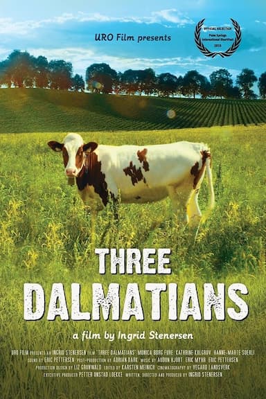 Tre dalmatinere