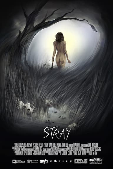 Stray