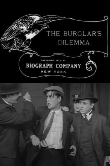 The Burglar's Dilemma